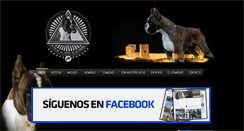 Desktop Screenshot of boxerdelasendadelosmoledores.com