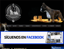 Tablet Screenshot of boxerdelasendadelosmoledores.com